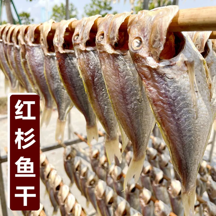 红杉鱼干 阳江一夜埕淡晒鱼干肉质嫩滑500克海鲜干货广东阳江