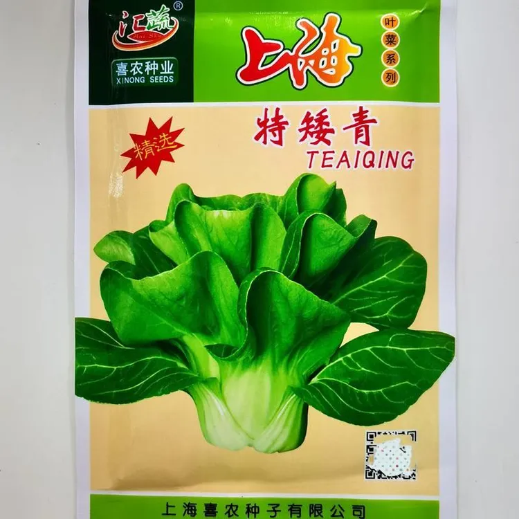 上海特矮青青菜种子大青菜种籽阳台盆栽高产秋季四季种植蔬菜种子