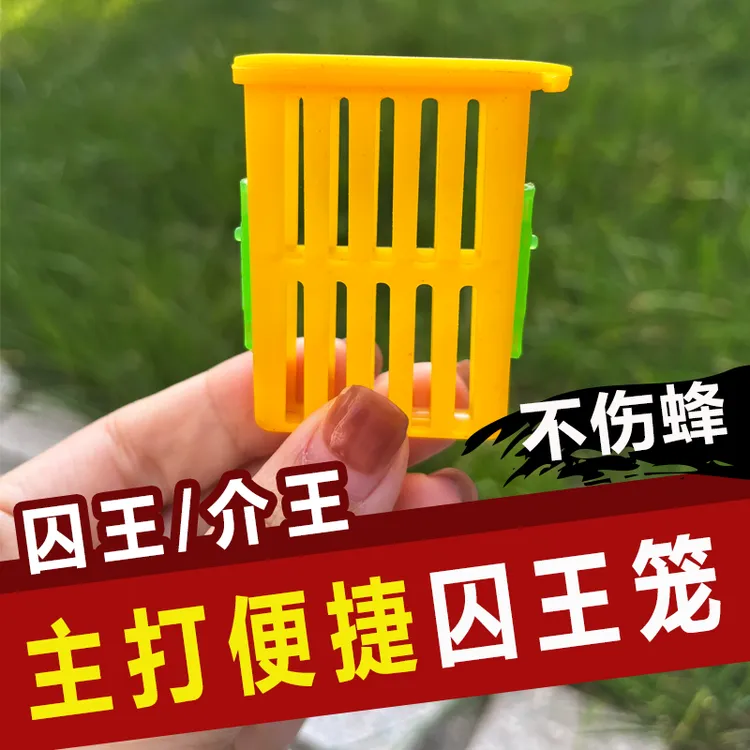多功能王笼囚王笼中意蜂关蜂王控王介王控王笼防蜂群飞逃养蜂通用