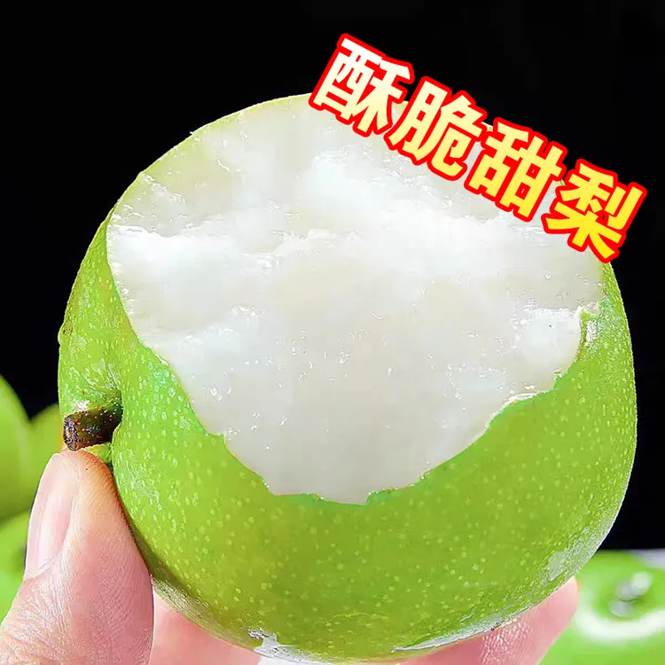 【正宗砀山青皮梨】3斤/5斤/9斤蜜梨产地直发青梨脆甜多汁新鲜水果
