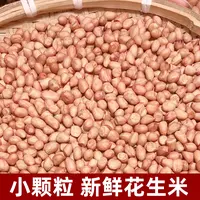【精选小颗粒】2025年新鲜花生米5斤/10斤河南农家白沙生花生农产品