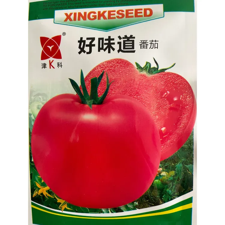 沙瓤甜西红柿种子(薄皮沙瓤甜柿子)
