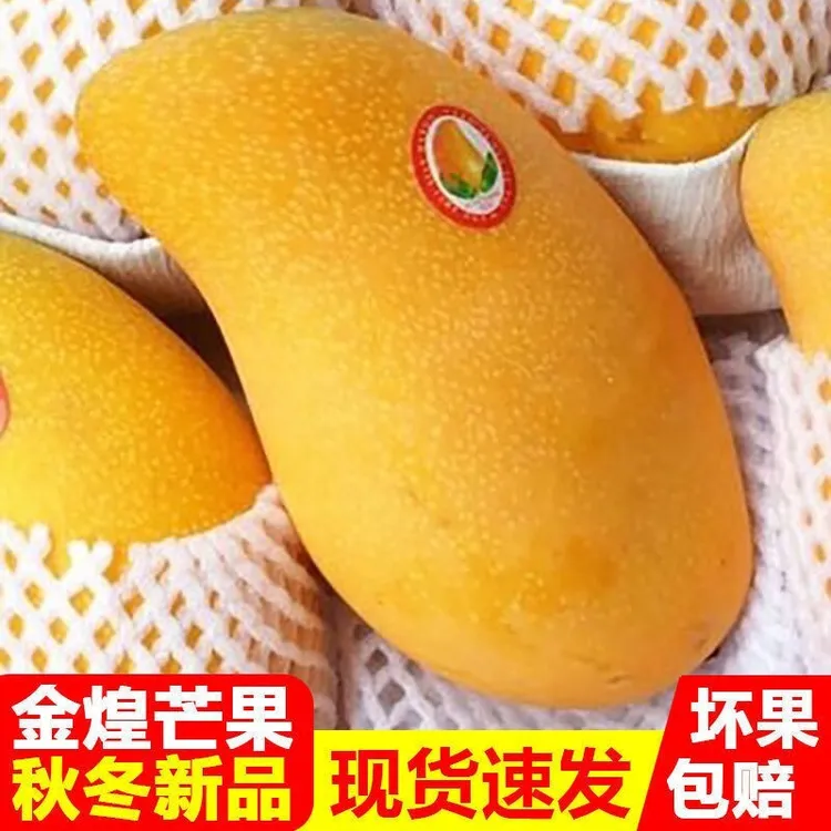 产地直发现摘新鲜水果肉厚皮薄软糯香甜农产品5/9斤饱满非水仙芒