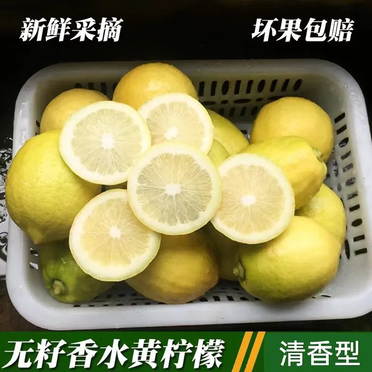 广东香水柠檬新鲜无籽黄柠檬1/2/3/4/5斤包邮香浓多汁水果