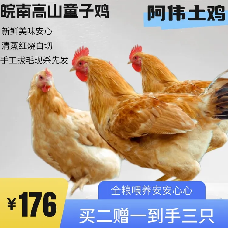 【阿伟皖南童子鸡买2送1】孩子爱吃紧实仔公鸡美味正宗肉鸡肉质保鲜