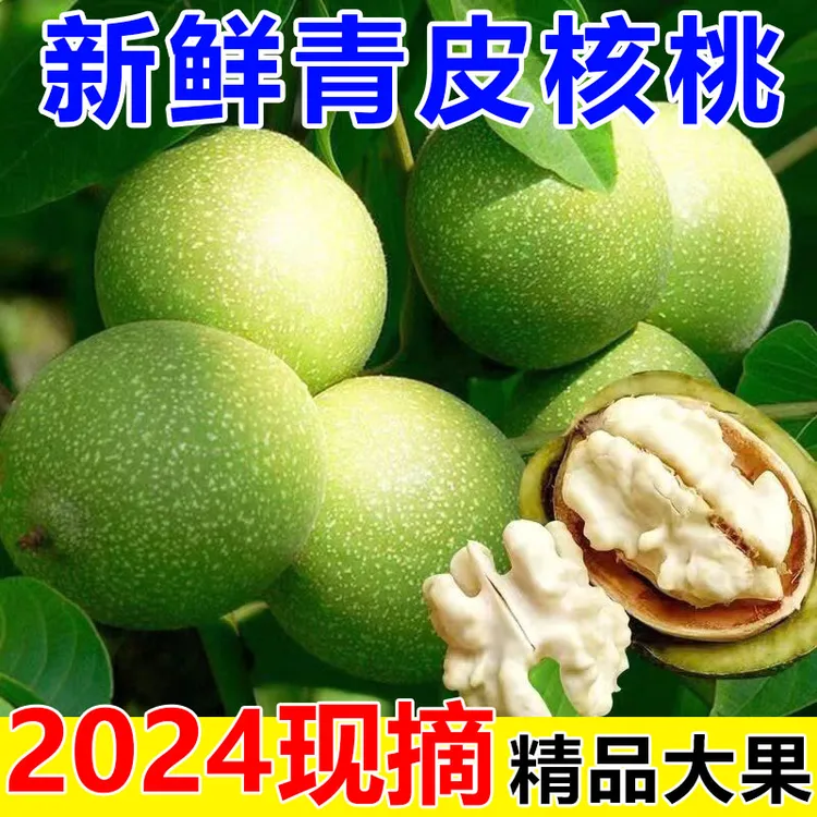 2024现摘现发汾州新鲜青皮核桃混发果