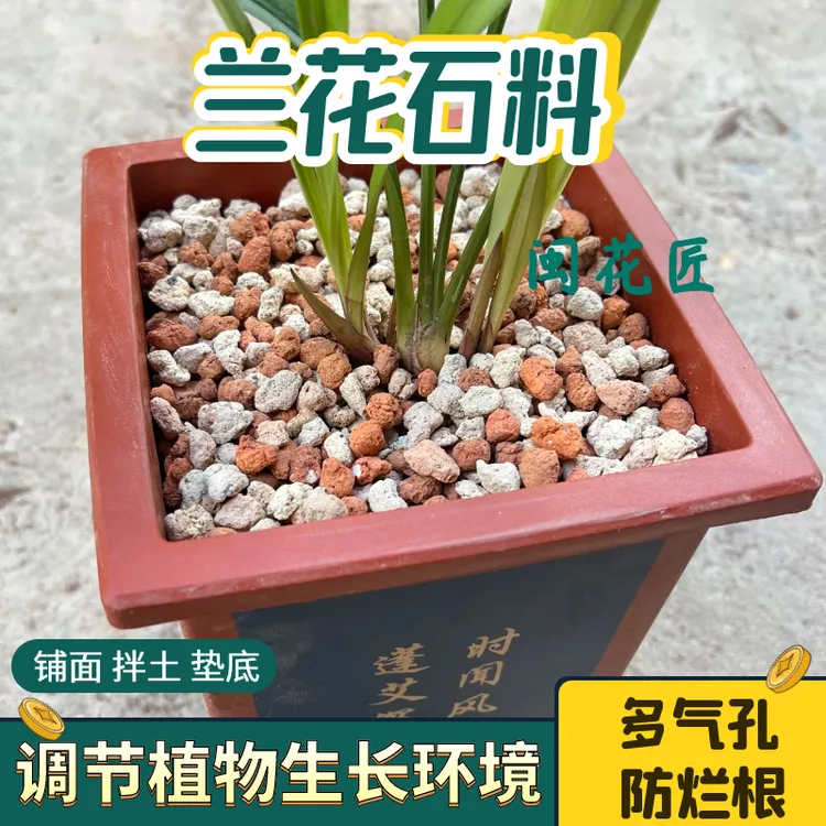 兰花专用铺面盖面石盆面护茎土护心土颗粒介质保湿美观防虫促芽