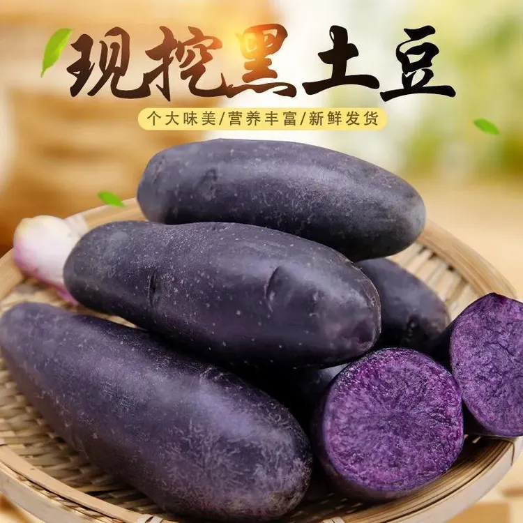 【新鲜现挖】紫色土豆黑土豆黑金刚土豆紫色乌洋芋马铃薯黑美人土豆