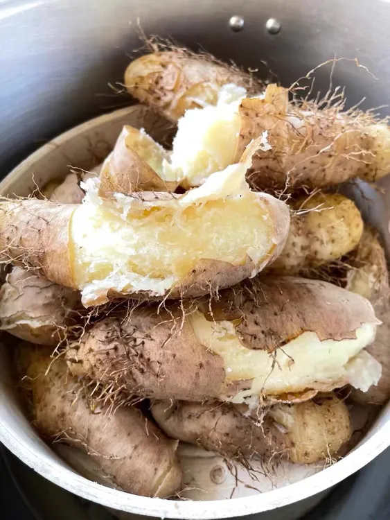 广东茂名新鲜毛薯甜薯猪仔薯脚板薯3斤5斤