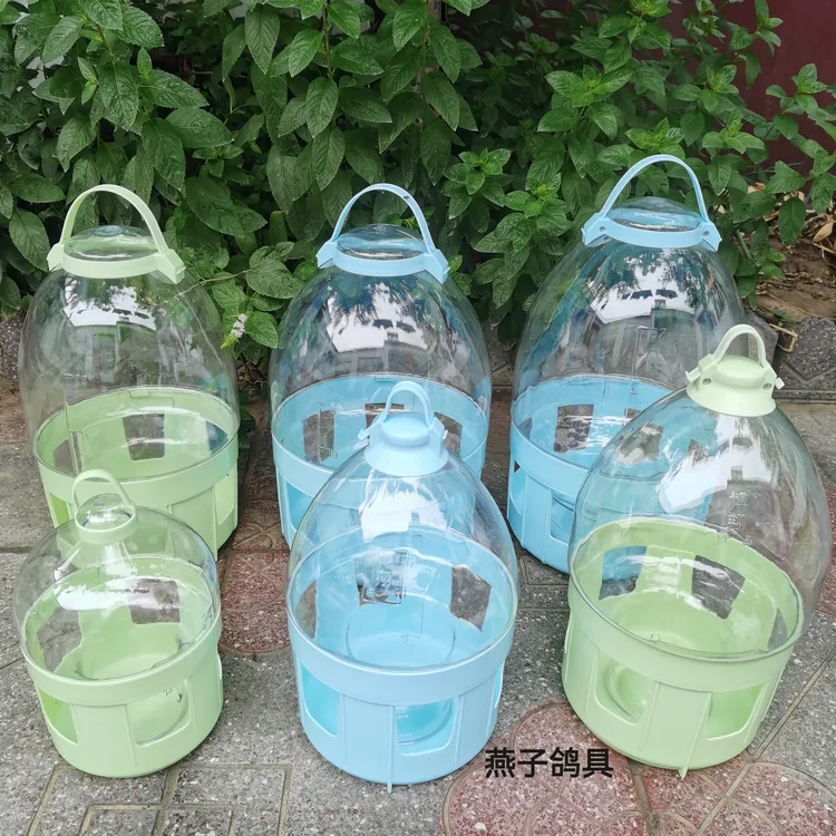 鸽用博翔透明水壶