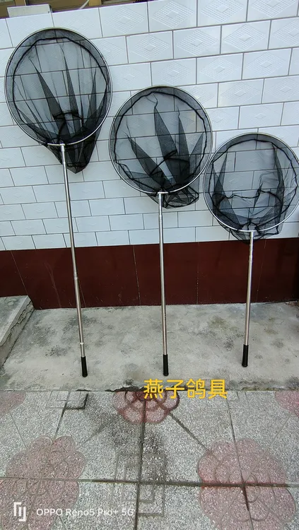 鸽子 不绣钢网兜（折叠网圈）