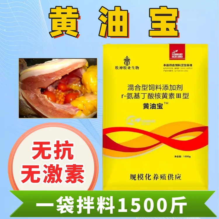 鸡黄油宝鸡油黄土鸡长黄油禽用黄油宝鸡鸭鹅增肥长黄油黄皮黄脚