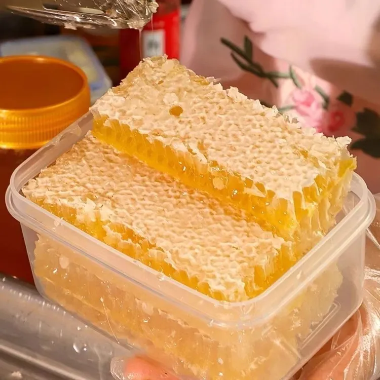 新疆伊犁纯天然现切成熟蜂巢蜜整块嚼着吃的蜂巢蜜农家自产党籍品