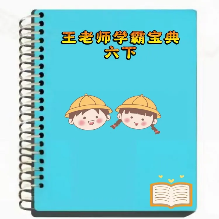 学霸宝典手写笔记+视频（小升初专项复习资料）