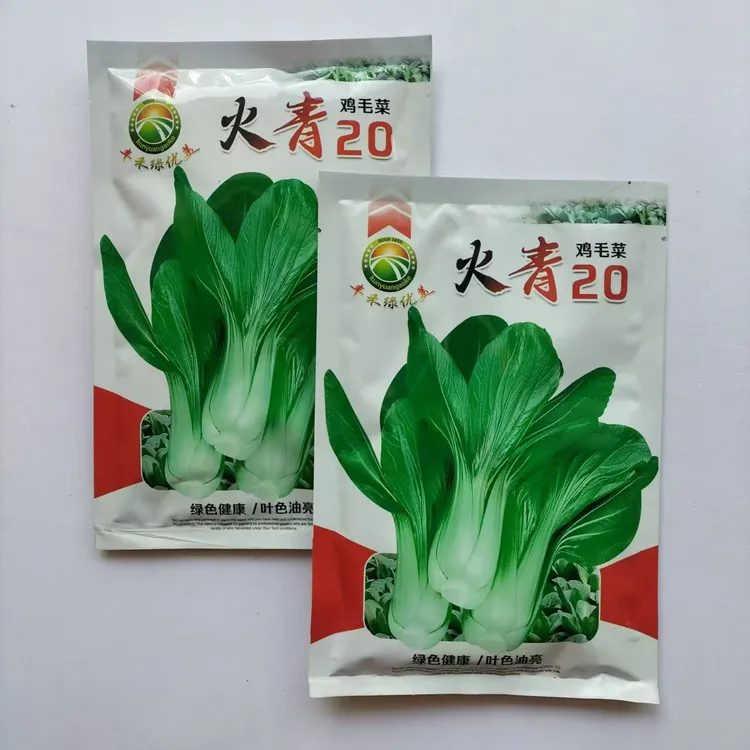 火青20青菜种子高产束腰青梗菜小青菜鸡毛菜种籽农家四季蔬菜种子