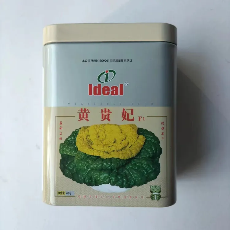 理想黄贵妃黄心乌塌菜种子耐寒黄心菜种籽菊花心菜籽种秋季蔬菜种