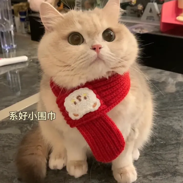 【秋冬新款】宠物围巾可爱新年红配饰毛线小猫冬季防寒保暖猫咪围脖