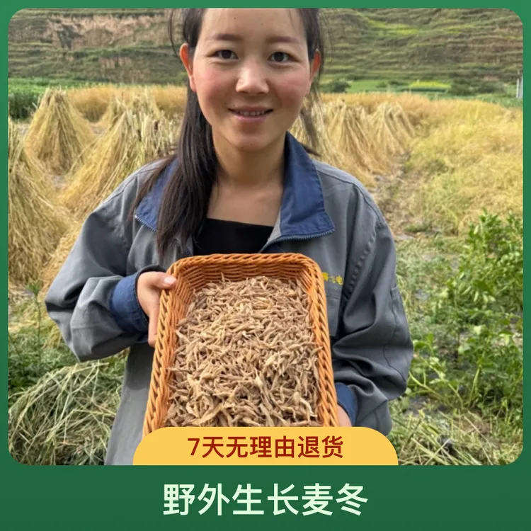 【老麦冬】野外生长麦冬大小不一品相不好看但是好用