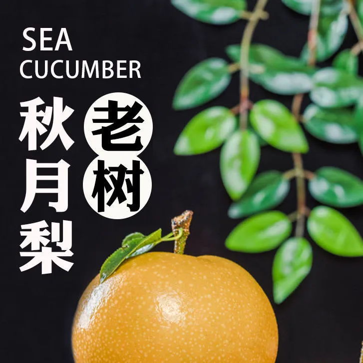 山东莱阳老树秋月梨新鲜梨子正宗香甜多汁皮薄应季水果老树秋月
