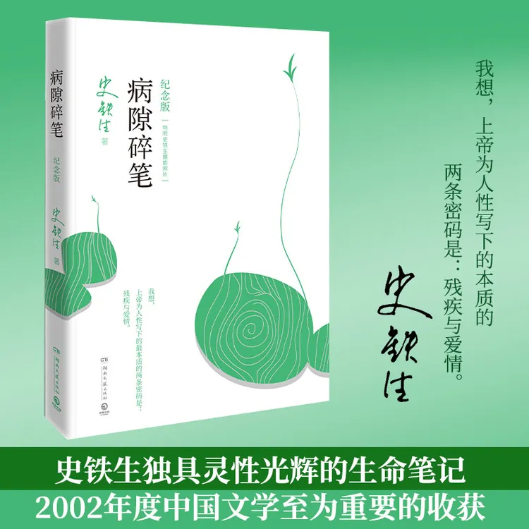 病隙碎笔(纪念版)平装史铁生充满灵性光辉的生命笔记湖南文艺出版