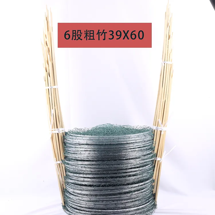 11件6股粗竹撑绿网高弹圈39X60花篮渔笼黑鱼甲鱼鲫鱼草鱼鲤鲶鱼笼