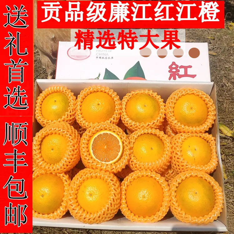 正宗廉江特产红橙红江农场红江橙10斤新鲜水果现摘现发手剥红心橙