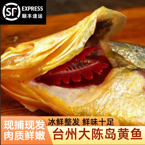 正宗大陈岛大黄鱼东海黄花鱼新鲜黄鱼鲞冰鲜台州特产海鲜