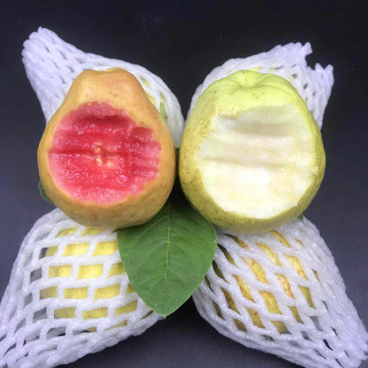 福建红心软香芭乐番石榴成熟香甜饱满成熟香甜饱满当季水果5斤装