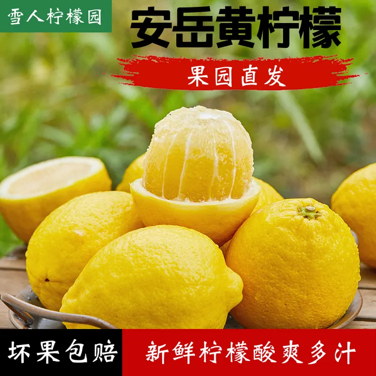 【2025安岳黄柠檬】现摘大果 3/5/9斤产地直发个大饱满酸爽多汁