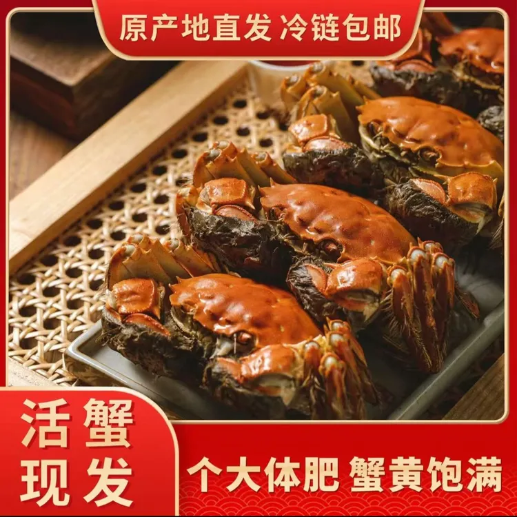 【全母】2.6-2.3两共10只