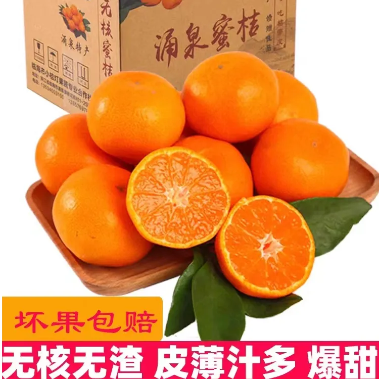 涌泉蜜桔山地种植现摘优质精品果园直发临海柑橘新鲜水果黄岩桔子