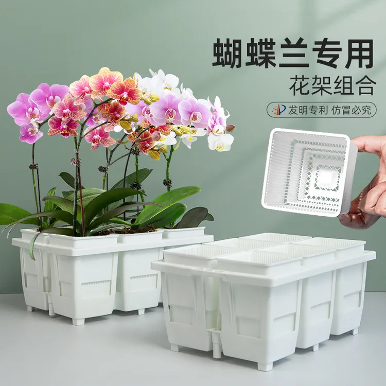 美莳蝴蝶兰专用透气控根花盆方形塑料带托盘组合花架