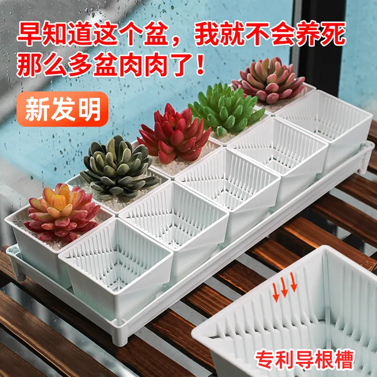 美莳多肉花盆长条型套装组合控根塑料创意个性简约透气肉肉小盆器