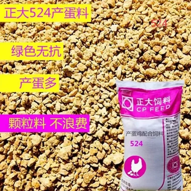 石家庄正大521育雏鸡523蛋中鸡524产蛋鸡颗粒鸡鸭鹅配合颗粒饲料