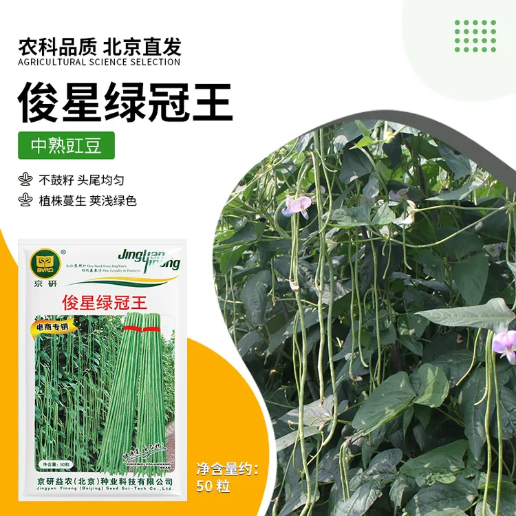 京研【农科院】长豇豆种子豆角种子无筋豆架豆四季豆蔬菜种春耕节