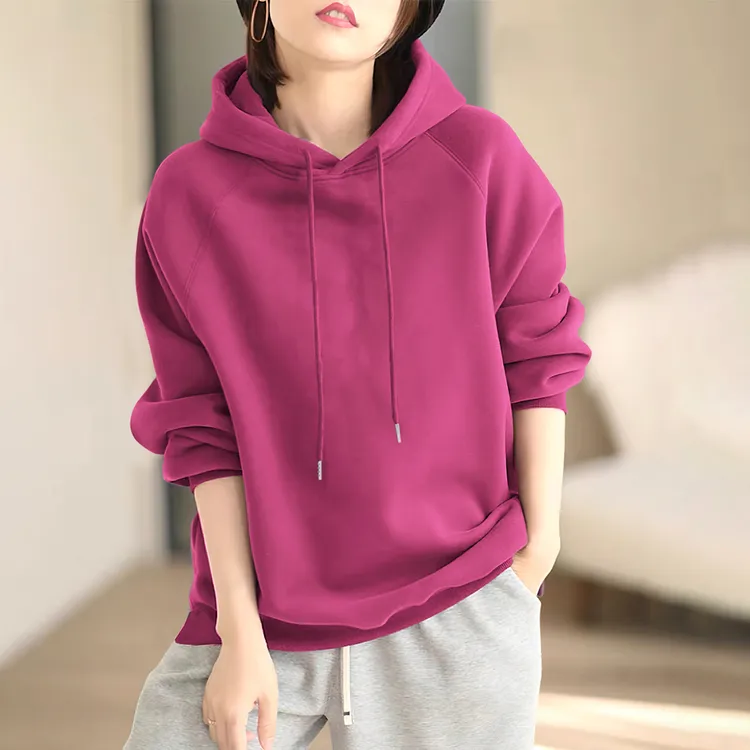 2024秋冬新款女装卫衣高级感连帽休闲百搭韩版宽松显瘦长袖上衣女