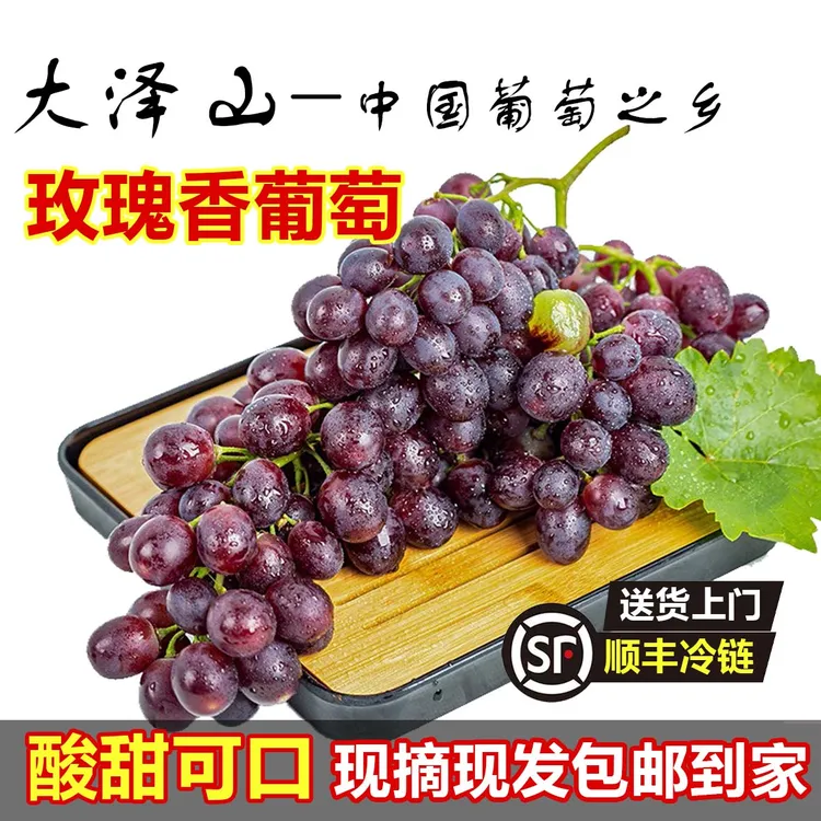 山东青岛大泽山玫瑰香葡萄新鲜应季水果香甜多汁现摘现发顺丰包邮