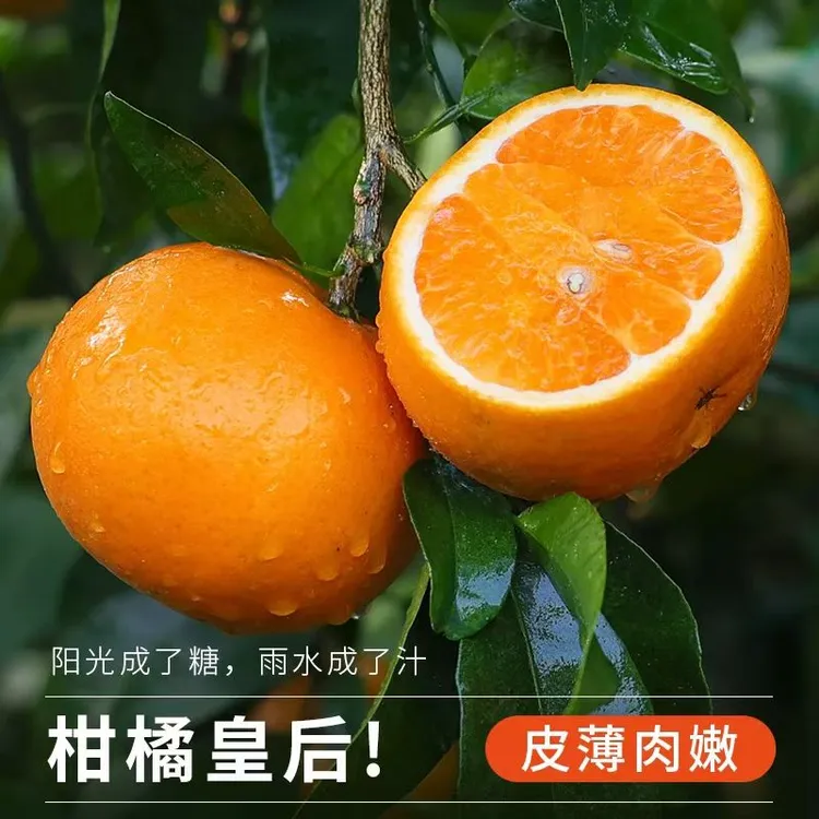 【到手5斤】广西武鸣沃柑新鲜采摘当季水果柑橘皮薄多汁甜蜜爽口
