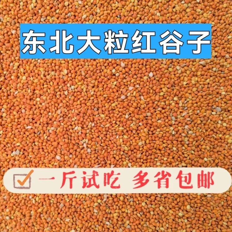 大粒新红谷子鸟食高级带壳牡丹玄凤鹦鹉玉鸟文鸟珍珠鸟鸟粮饲料