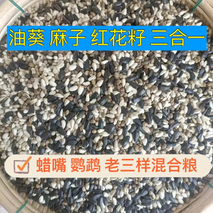 蜡嘴老三样混合粮 油葵 麻子 红花籽 三合一 鸽子鹦鹉铜嘴哨花子