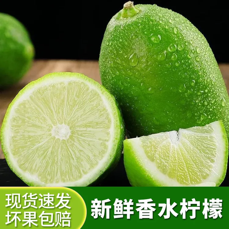 云南香水柠檬无籽现摘1-9斤青柠檬产地直销青柠檬鲜果手打柠檬水