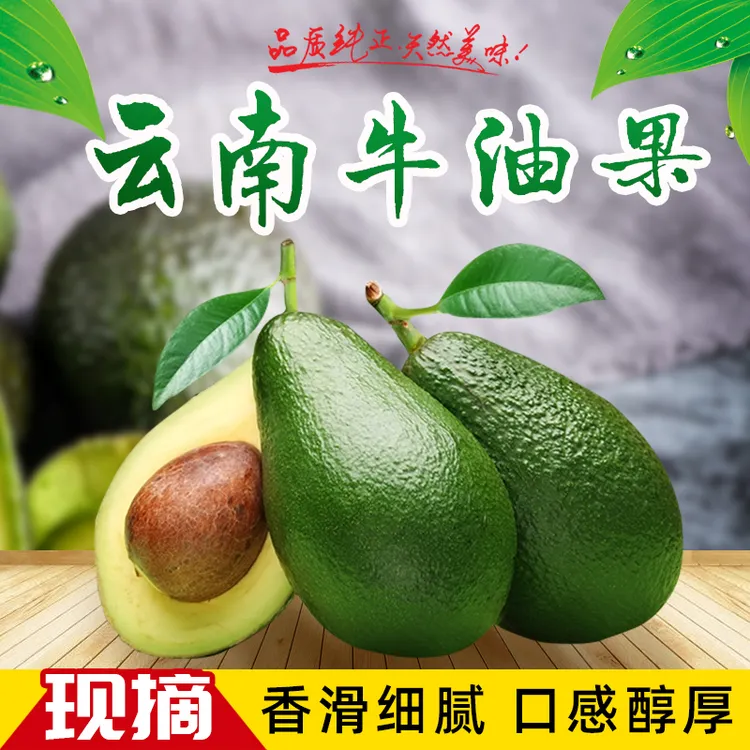 【催熟放软食用】云南新鲜哈斯牛油果国产鳄梨水果宝宝辅食100-230g