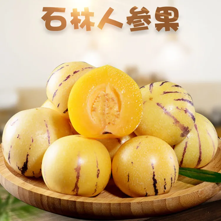 【坏果包赔】云南石林人参果3-5斤黄肉圆果新鲜水果现摘直发