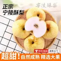 宁陵酥梨金顶谢花酥梨现摘现发酥脆甜皮薄肉厚汁水多