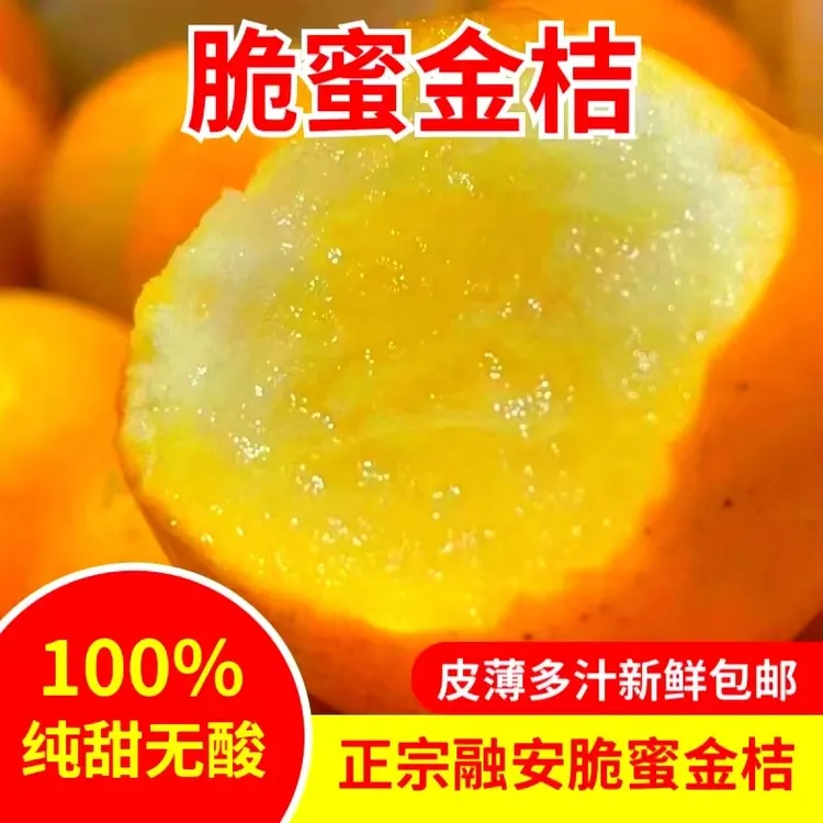 融安第三代金桔中大果脆蜜金柑新鲜无核果面花皮不影响口感纯甜