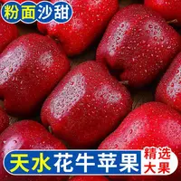 ZB20正宗花牛苹果产地直发蛇果辅食高山种植天水花牛脆甜粉面两吃