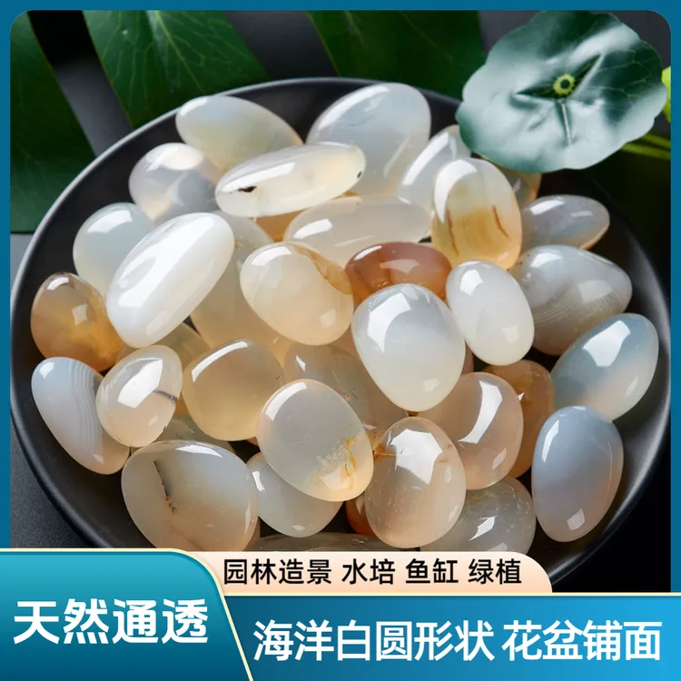 海洋白原石曼扎雨花石鹅卵石花盆水培水仙子鱼缸装饰花瓶小石头