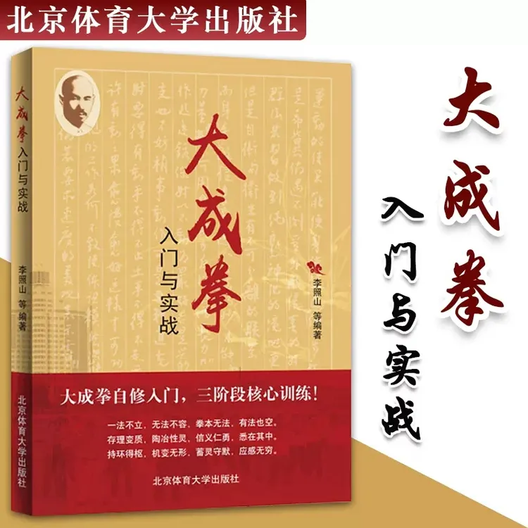 武功书籍 拳击书大成拳入门与实战武术秘籍古书 李照山 等 著