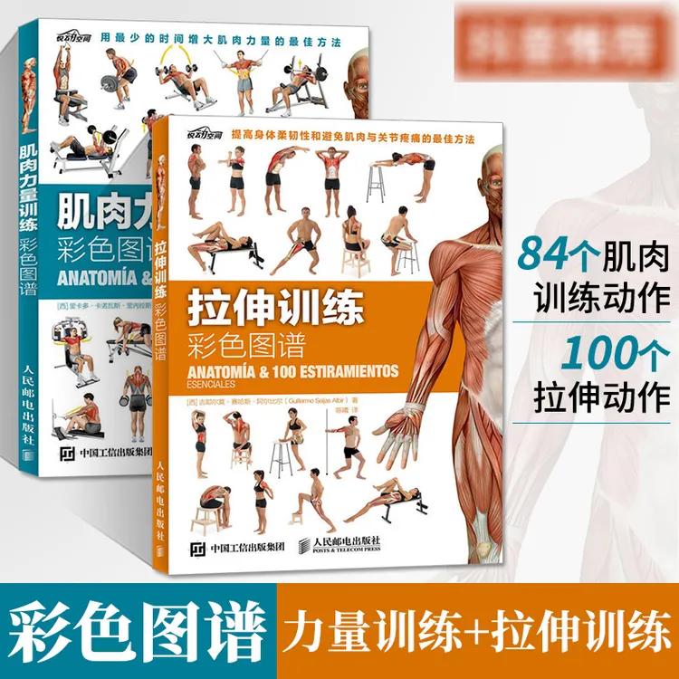 健身书籍大全 肌肉力量训练彩色图谱 徒手健身教练力量与肌肉力量