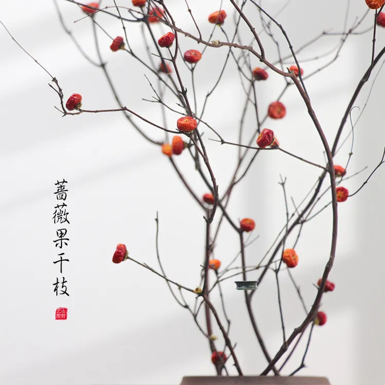 蔷薇果枯梅花天然玄关壁龛装饰摆件客厅禅意花束侘寂干枝干枝